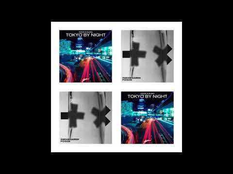 Martin Garrix vs Hook N Sling   Poison Tokyo By Night RAF Mash up