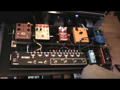 Octobus Looper Palmer