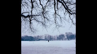 Trey Anastasio - A Case of Ice and Snow, 10/23/20, The Beacon Jams, New York City, NY