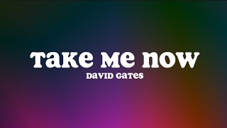 Take Me Now (Lyrics) - David Gates