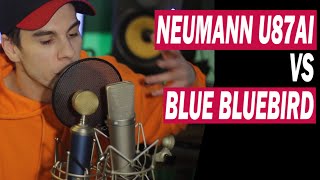 Video thumbnail for Neumann U87 vs Blue Bluebird: Rap/Pop Vocals Mic Showdown by Kelli