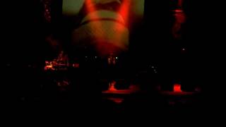 the &quot;Lamb&quot; - She Walks