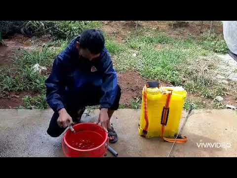 CÔNG DỤNG THUỐC TRỊ BỆNH TRÊN CÂY TRỒNG  ANVIL