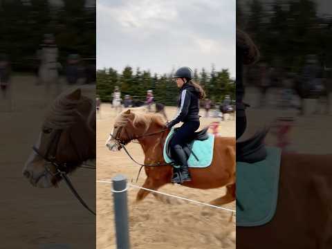 😝😝😝#horses#horse#riding#galopp#edit#short#viral#pferde#pferd#hobbyhorsing