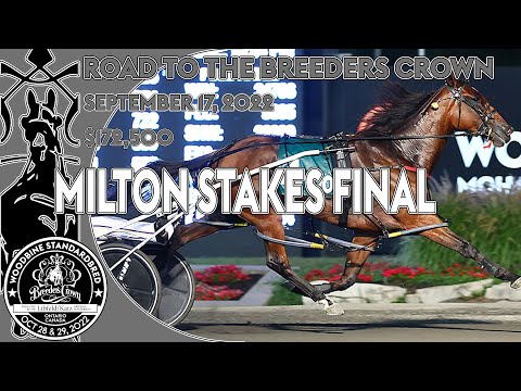 2022 Milton Stakes Final - Test Of Faith - Mare Pace