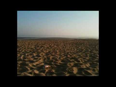 The Wickets - By The Sea (2011)