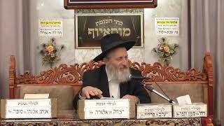 הרב אברהם מוסלי | בעניינו של בעל נפש החיים | בית הכנסת מוסאיוף (בית הכנסת מוסאיוף) - התמונה מוצגת ישירות מתוך אתר האינטרנט יוטיוב. זכויות היוצרים בתמונה שייכות ליוצרה. קישור קרדיט למקור התוכן נמצא בתוך דף הסרטון