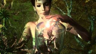 Goethes Erben - Schatten 2