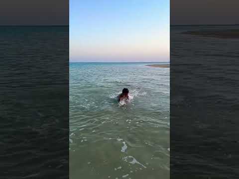 #avaneesh Alkhor beach 🏖 #qatar #world #onemillionaudition #alkhor #india #venuka