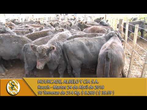 24-04-18 Venta de Hembras - Hourcade, Albelo y Cia S.A. - Rauch.