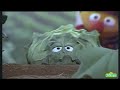 সিসিমপুর Sesame Street Grow High Grow Low Bengali