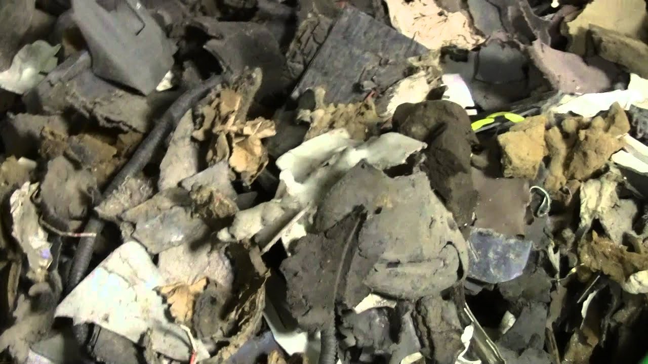 Black Plastic & Greeneye® Optical Sortor