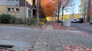 Fall Walk as the Leaves are Turning Colors