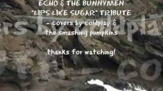 Echo &amp; the Bunnymen &quot;Lips Like Sugar&quot; Cover Tribute feat. Coldplay  &amp; The Smashing Pumpkins