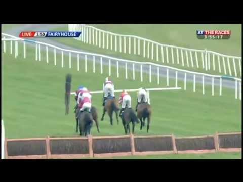 Shaneshill - Coolmore N H  Sires Leading Light & Ocovango Novice Hurdle 2015