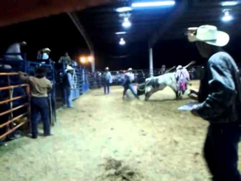 Waycross ga rodeo(1)