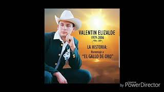 Valentín elizalde amargo adios