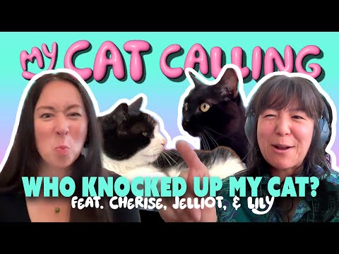 Who Knocked Up My Cat? feat. Cherise, Jelliot, and Lily