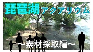 【初心者です!!】琵琶湖で採れた素材を使ってアクアリウムを作ってみよう！〜素材採取編〜