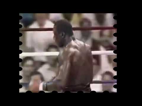 Boxing Legend Facts Mike  Weaver History