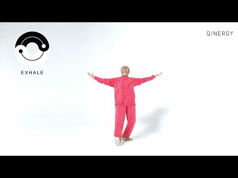 Tai Chi Qigong Shibashi Set 1 (Follow along) | Mirrored version with breathing timing |