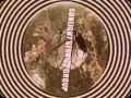 SUNLIGHT SERVICE GROUP- Night Sun