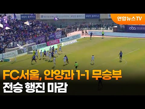 FC서울, 안양과 1-1 무승부…전승 행진 마감