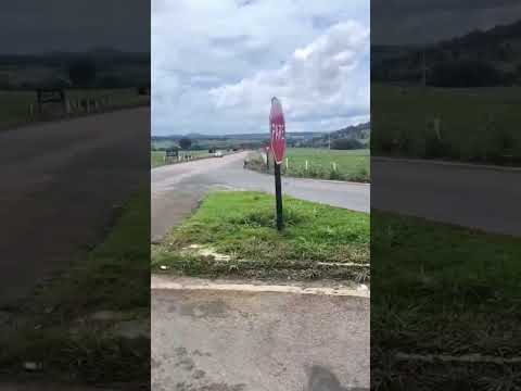estrada voltando de Santo Antônio de Goiás.