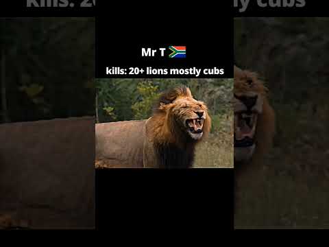 5 Most feared lions in the history #shorts #viral #youtube #video