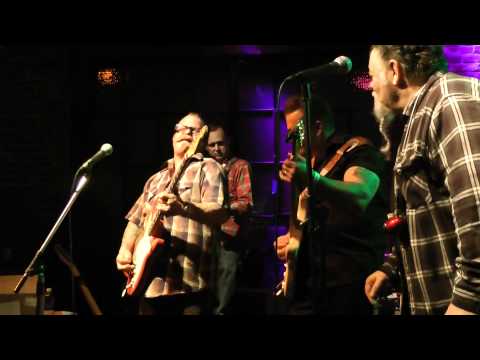 Thumbnail for James Harman, Kid Ramos & the 44's band (Brenda Busuttil benefit) by James Harman