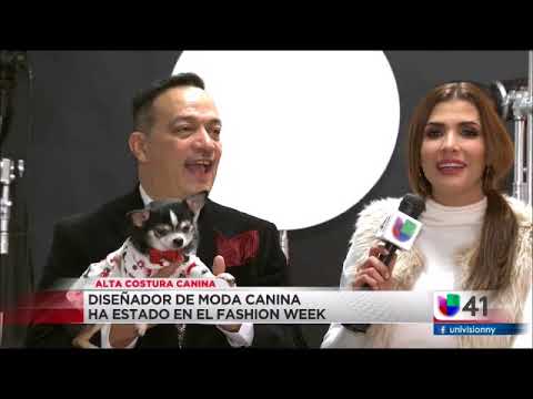 Anthony Rubio Spanish Interview on Univision Nightly News - Canine Couture