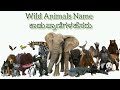 Wild animals names with pictures | 30 wild animals name in English and Kannada | ಕಾಡು ಪ್ರಾಣಿಗಳ 