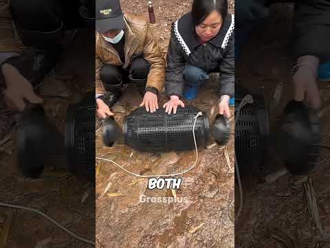 Fishing #shorts #science