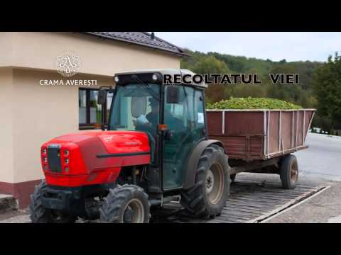 Crama Averesti  - Povestea