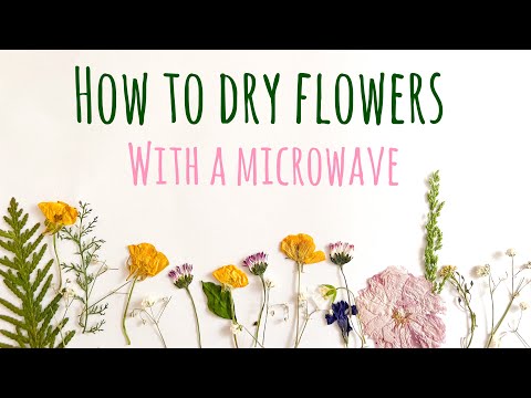 Resin Tray and Coaster Set With Real Dried Flowers Resin Art