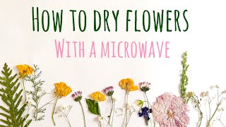 How to Press Flowers in the Microwave: Pick & Dry Flowers With Me!