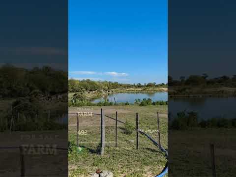 Livestock Ranch for sale in Presidente Hayes – 493 ha cattle property on route 12, Paraguay