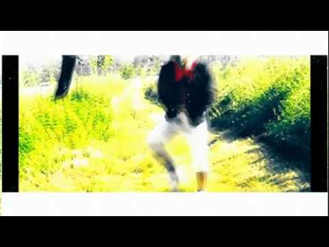 Bad Memories    David Guetta Kid Cudi parodie   Aik Murczechy