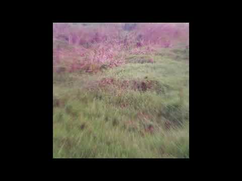 S4EED - ความว่างเปล่า​(3mptiness)​ Ft.$WORD + XG (Prod.Kaktus)