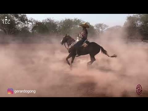 E5P4 - Nuevos Talentos En Cala - Julián Mier, Alex Mier y Gerardo González