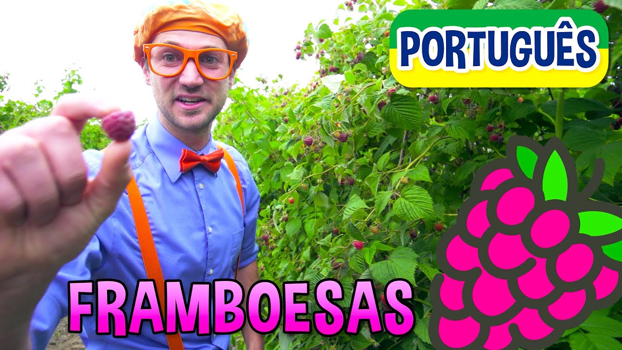Blippi Português Visita uma Fábrica de Framboesass | Video Novo! Vídeos Educativos  de Blippi