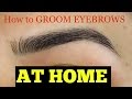 how-to-groom-eyebrows-at-home-07-08-2019
