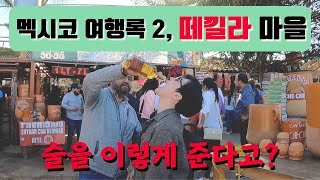 데킬라마을에서 신기하고 독특한 술문화 체험, 멕시코의 길거리 K POP 😎