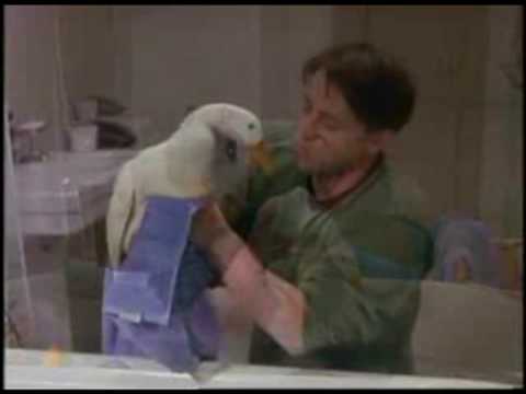 Weekend in New England Friends