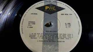 Princess ‎–In The Heat Of A Passionate Moment