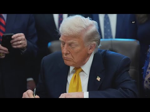 Live: 'Walk Out On Fascism' Protest in Washington, D.C.