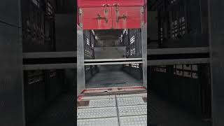 Reboque transporte animais Pezzaioli typ 2 | Imagem 4 - Autoline