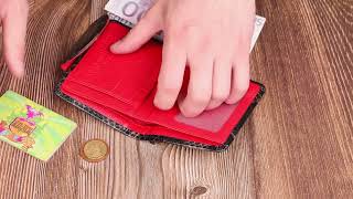 Фактурне жіноче портмоне середнього розміру з натуральної шкіри з тисненням під змію Canpellini 21805 різнокольорове