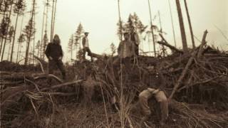 The Moondoggies - Oh Now Honey - not the video