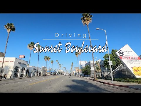 Driving in Los Angeles on Sunset Boulevard from Beginning to End